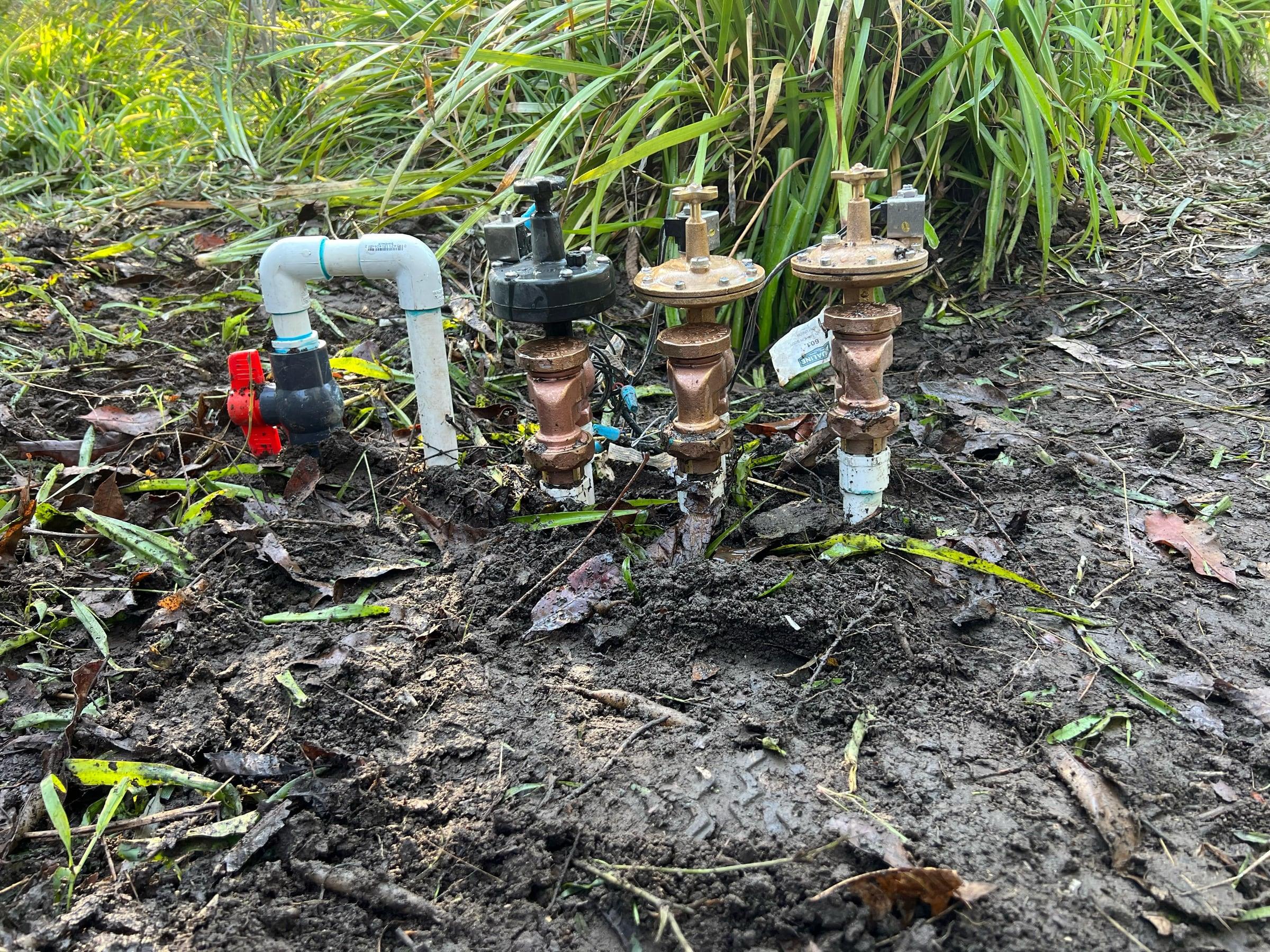 Newly installed row of anti-siphon irrigation valves in a mulch bed