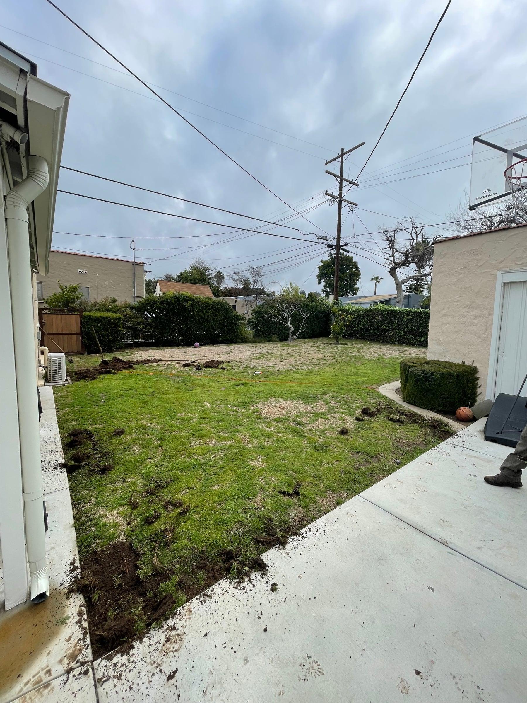 Backyard lawn renovation in progress
