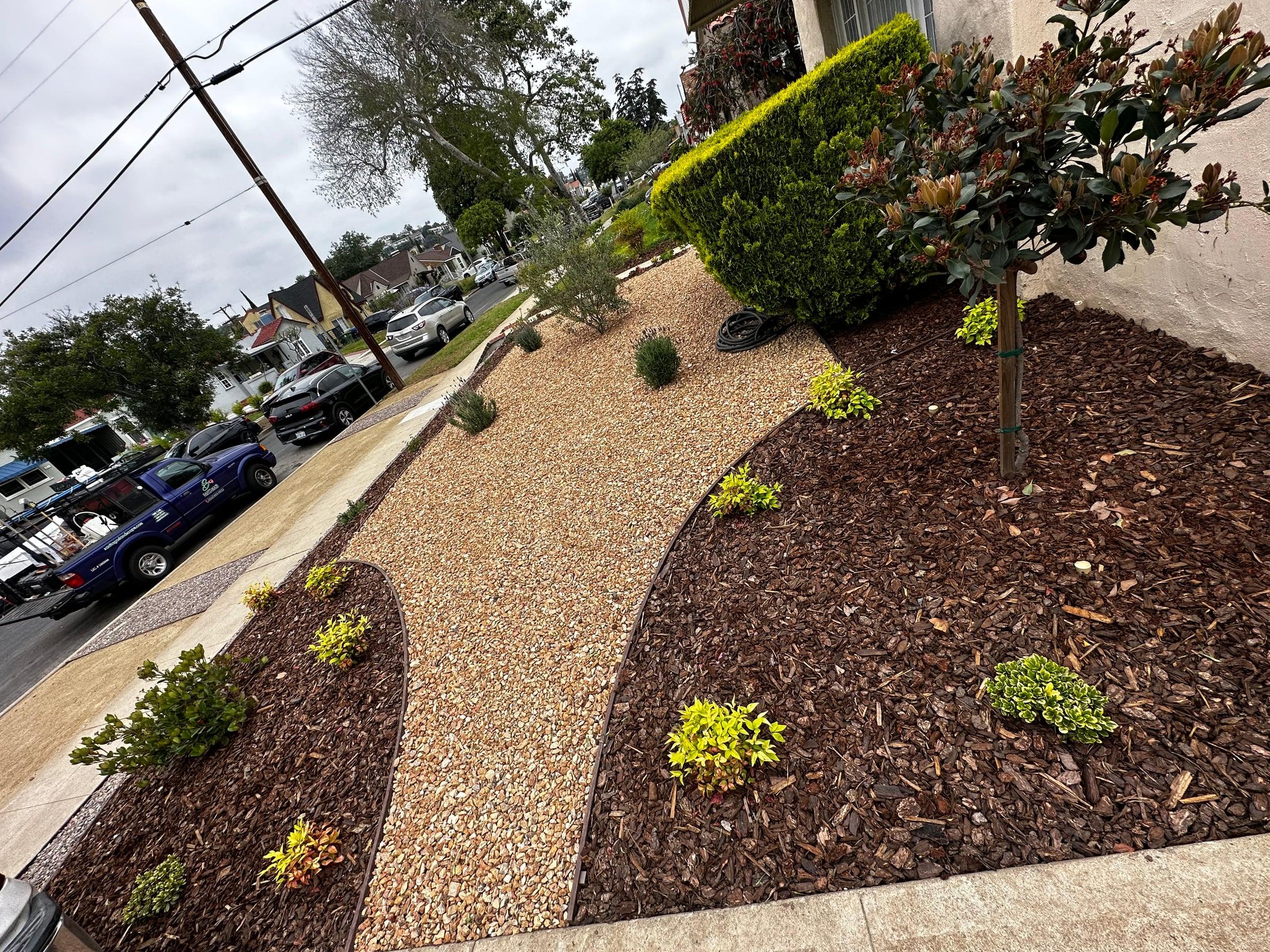 Gravel planting bed with new shrubs along the curb