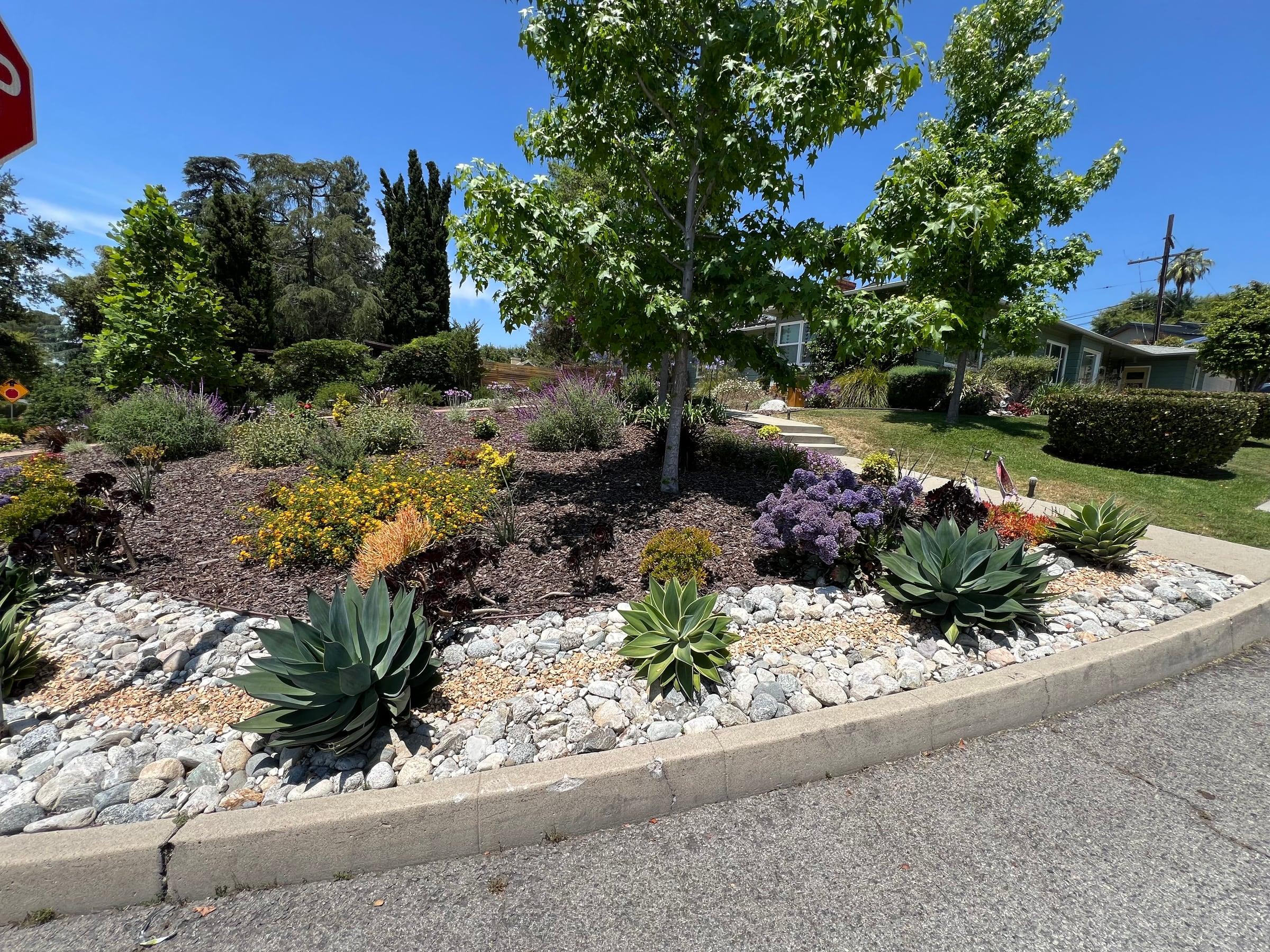 Agave and river rock border along a curbside planting bed