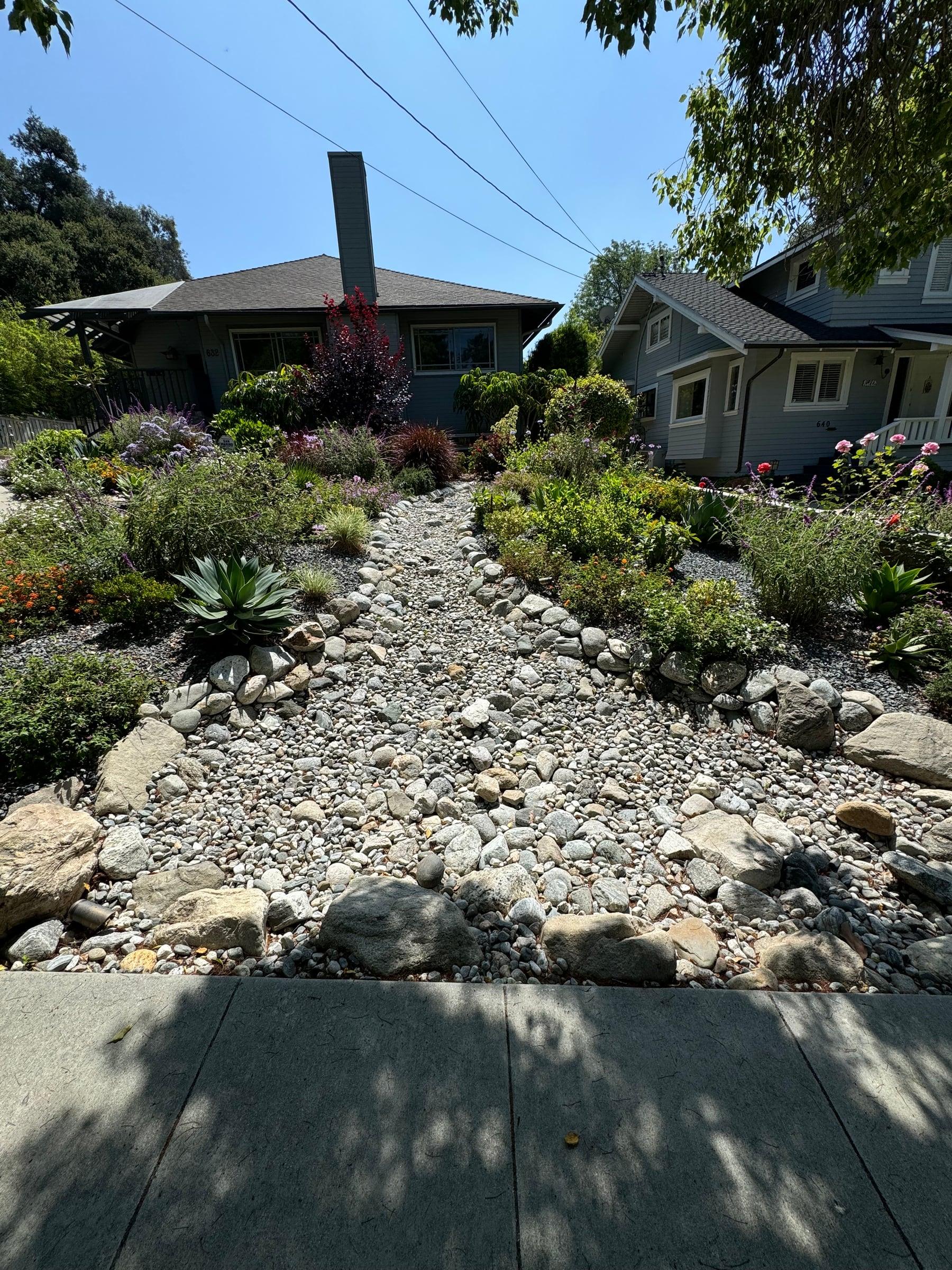 Dry riverbed rock feature with drought-tolerant flowering plants