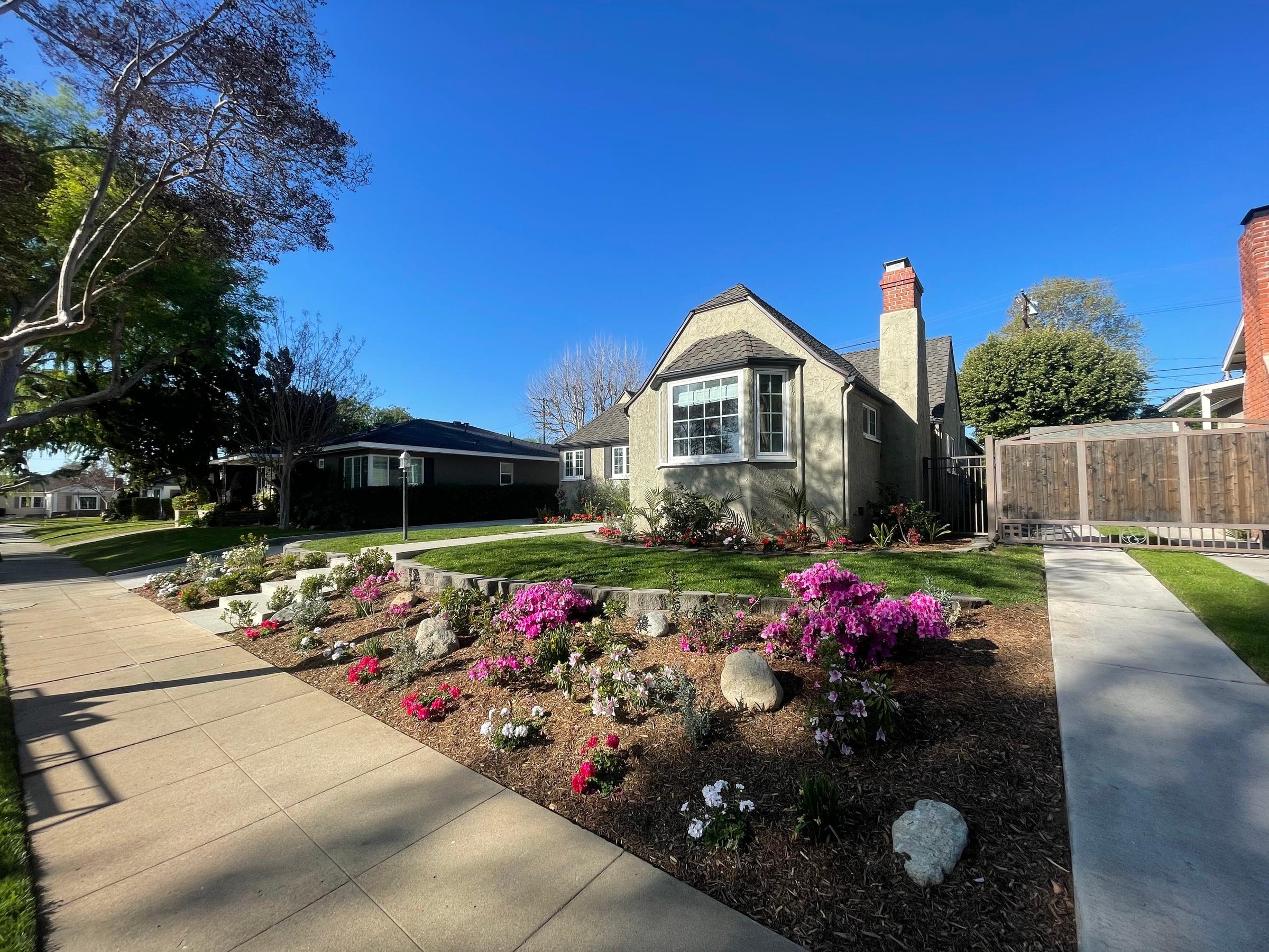 Maintenance service by SoCal Landscape & Trees