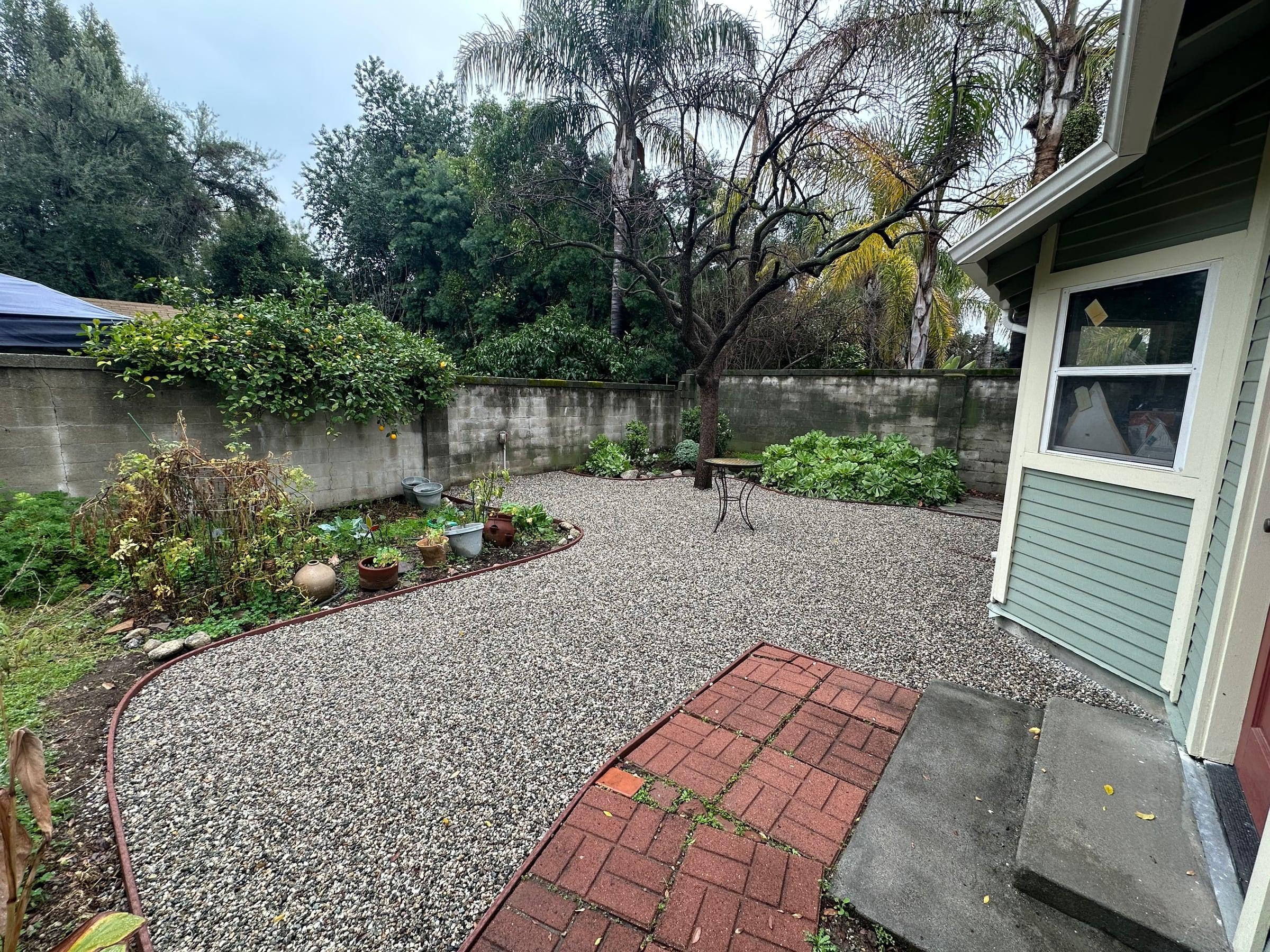 Backyard gravel patio with a citrus tree and paver walkway