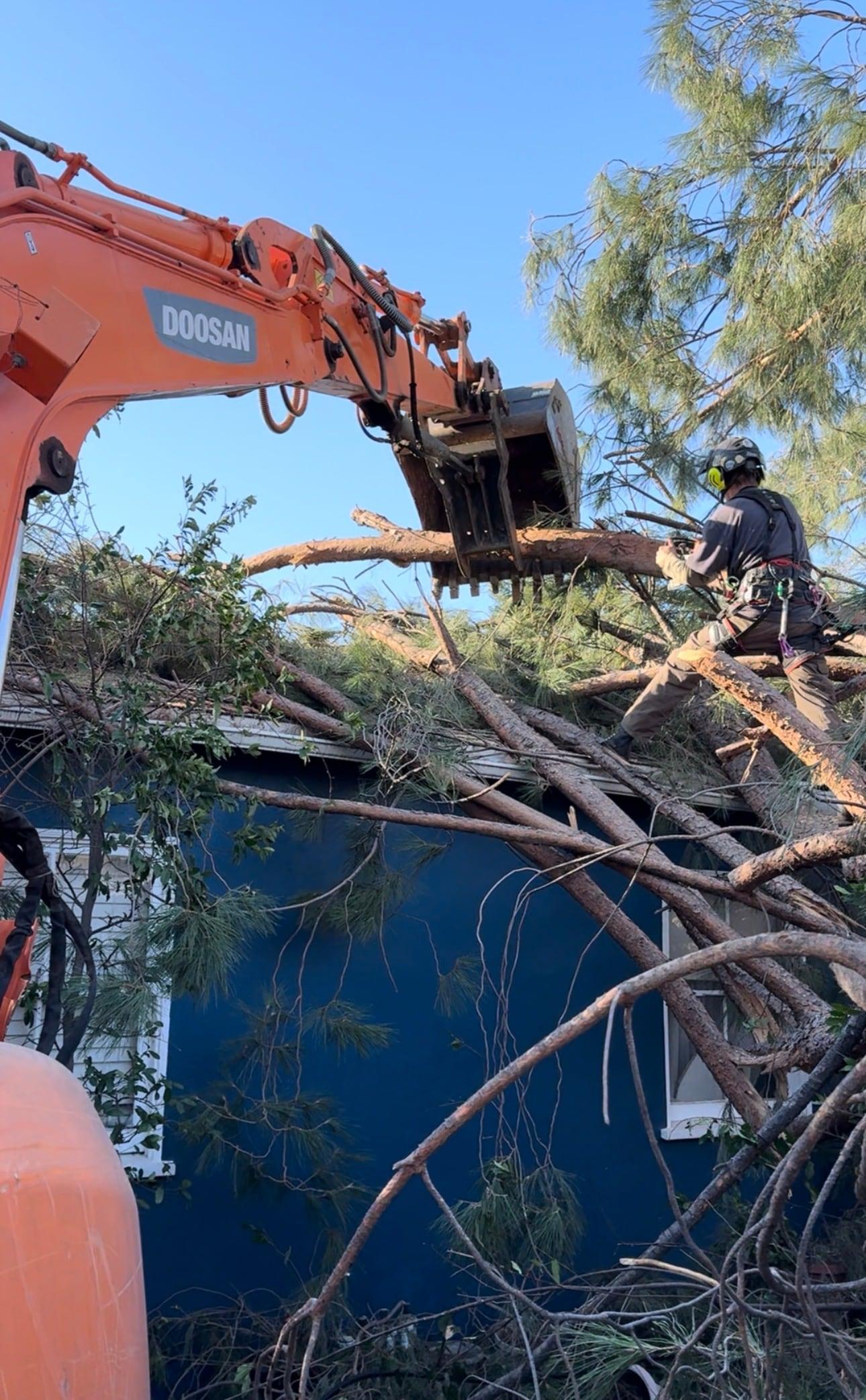 SoCal Landscape & Trees team on an active project