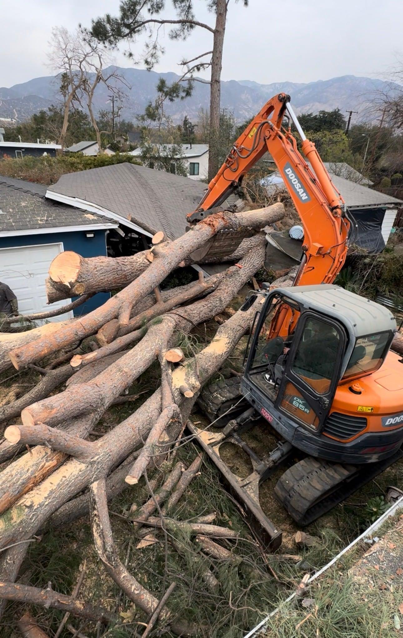 Excavator loading cut logs from a fallen tree removal